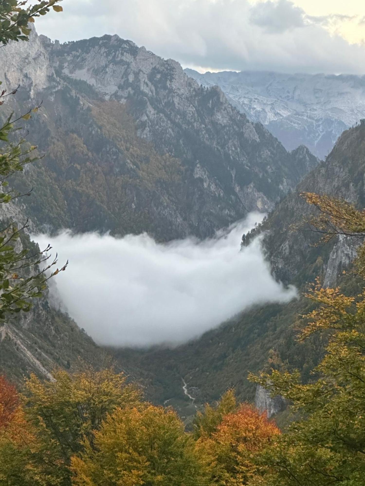 Kolata View *