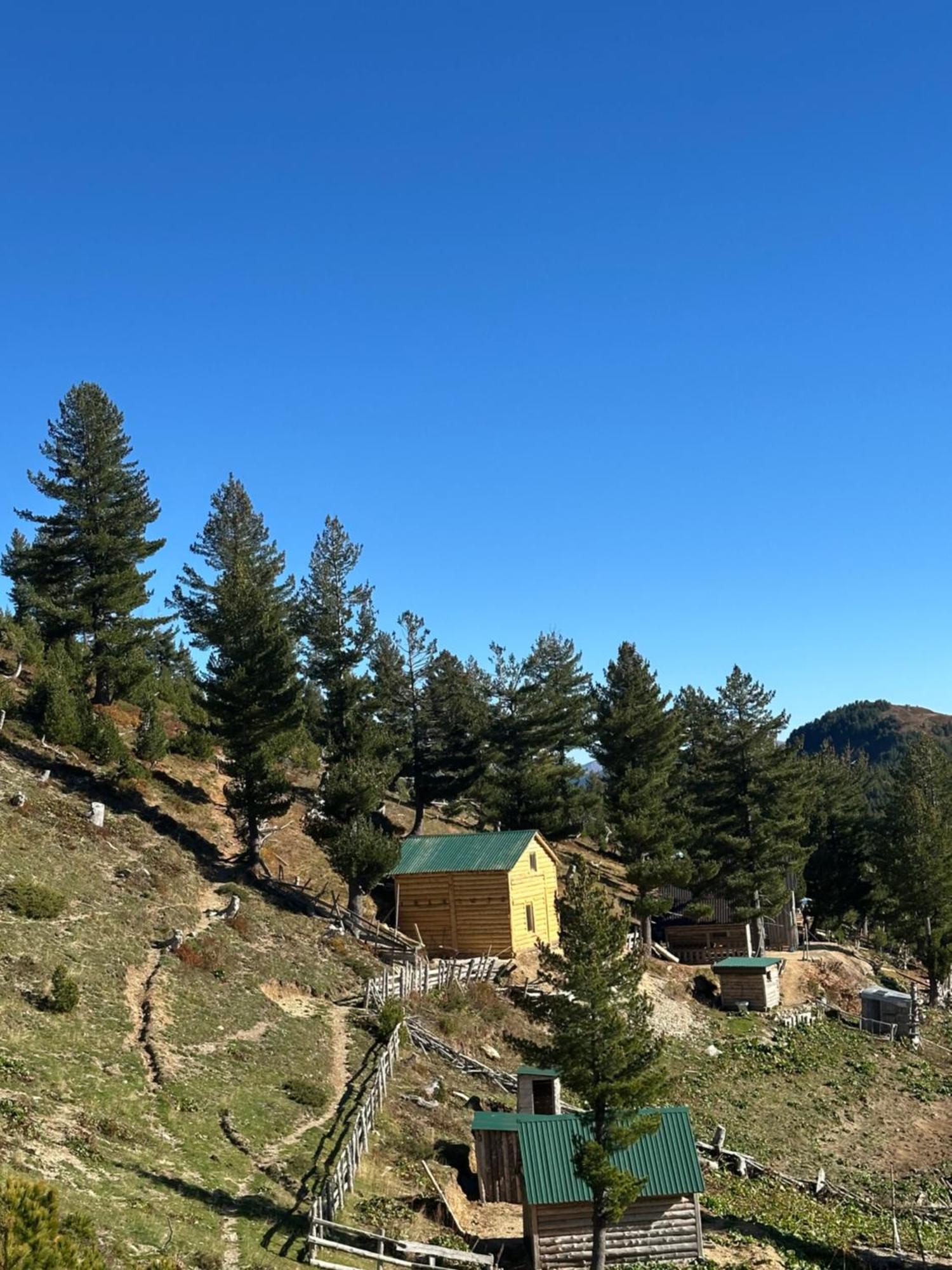 Kolata View